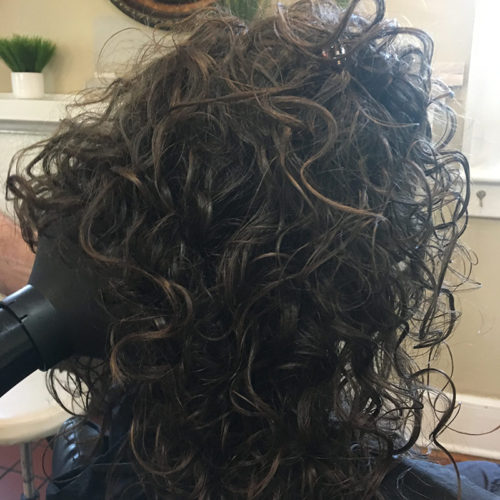 Curly Hair Specialists - Hair Bella Salon — Greenville, SC